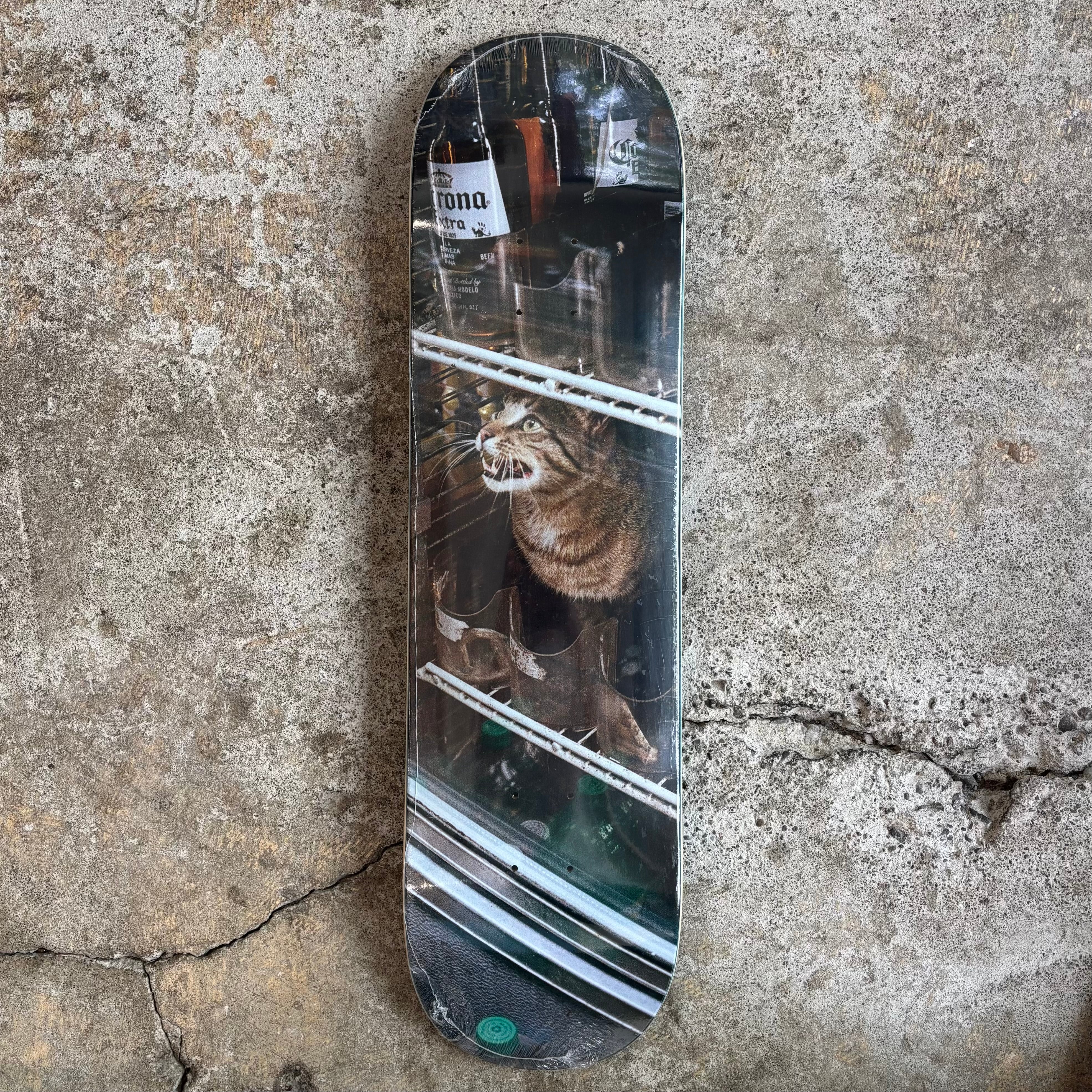 GX1000 Bodega Cat Deck