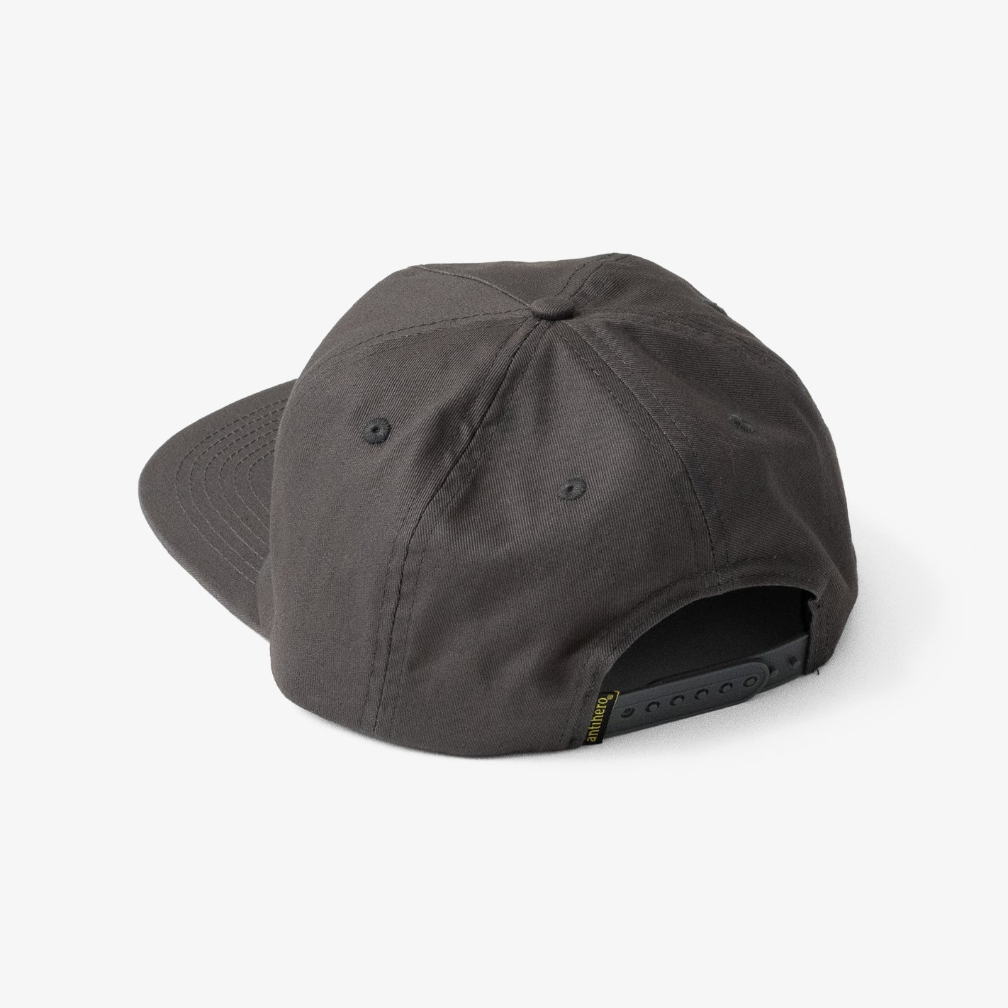 Antihero Vampigeon Snapback (Charcoal) - Image 2